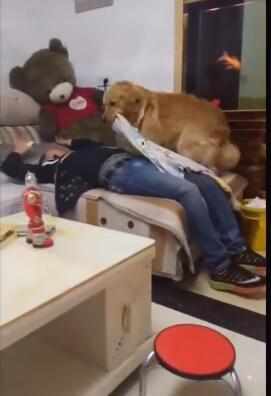 贵阳ktv招聘包房**_重庆夜场招聘包房**_重庆ktv包房**服务员招聘信息